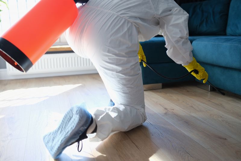 Rat Fumigation Service in Gwinnett County, GA