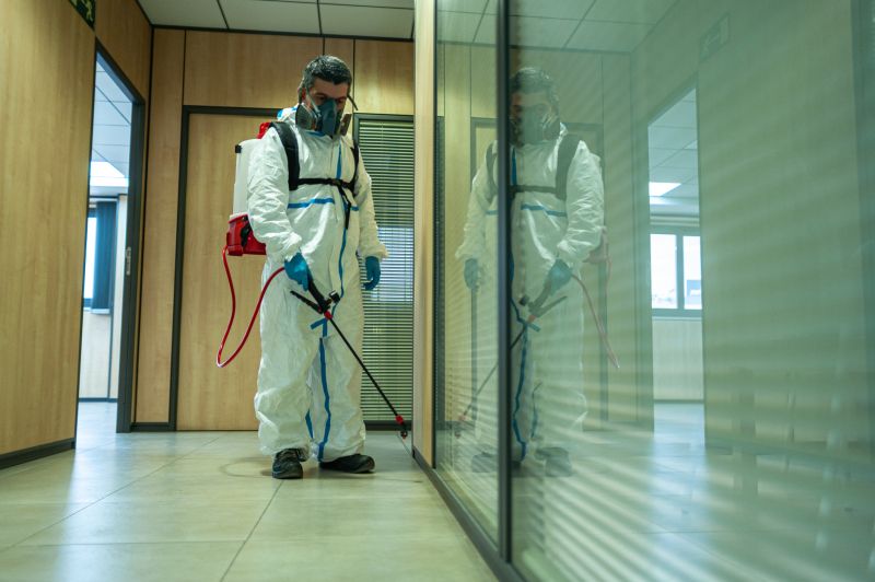 Spider Fumigation Service in Ann Arbor, MI