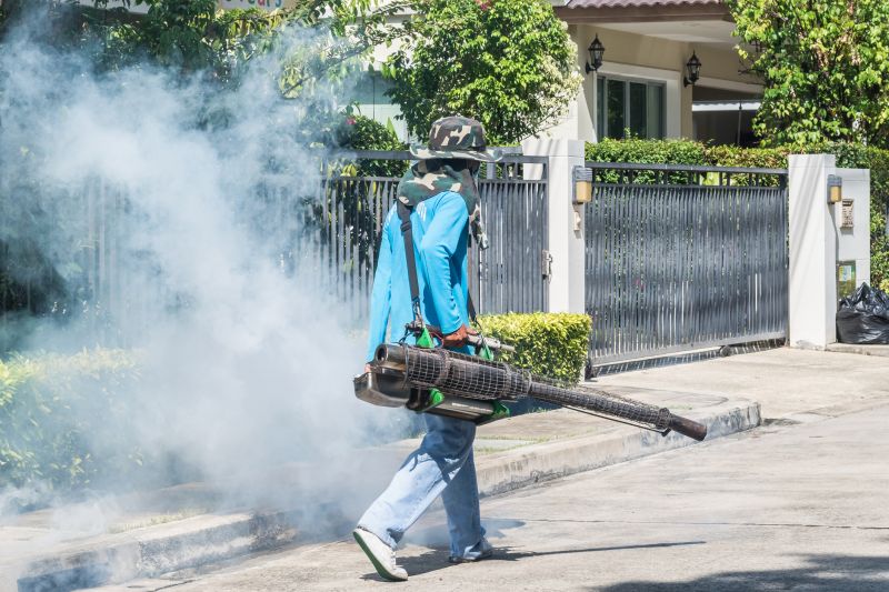 Spider Fumigation Service in Naperville, IL