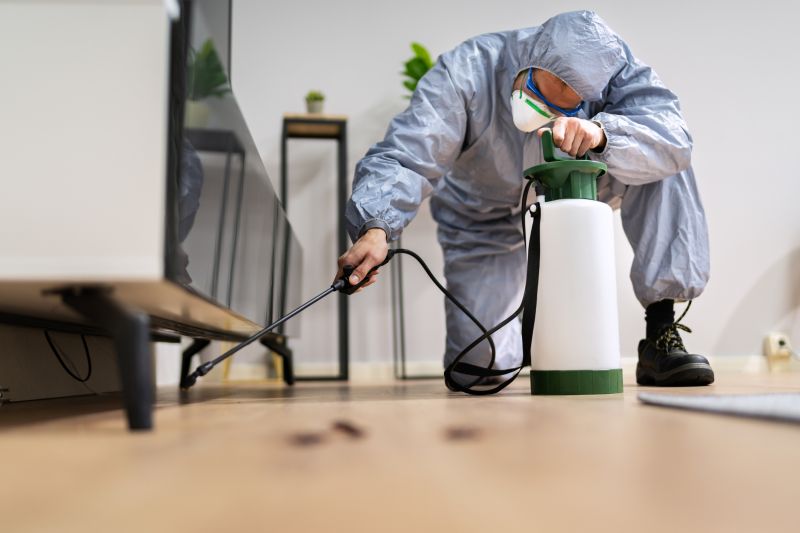 Spider Fumigation Service in Asheville, NC