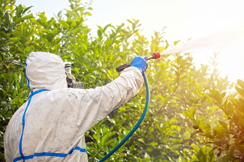 Fumigation Service in Woodbridge, VA