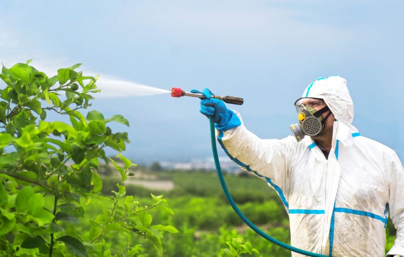 Rat Fumigation Service in Coeur D Alene, ID